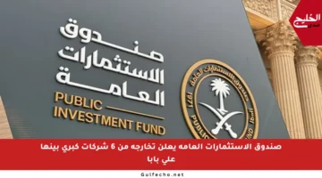 صندوق الاستثمارات العامة يعلن تخارجه من 6 شركات كبرى بينها علي بابا